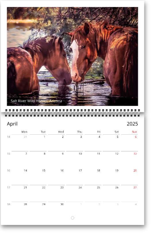 2025 Arizona Wall calendars (US & CA)