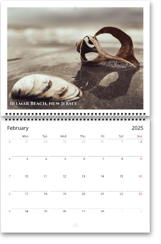 United States Wall calendars (US & CA)