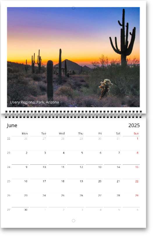 2025 Arizona Wall calendars (US & CA)