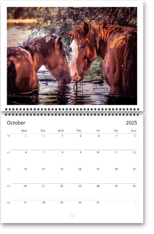 United States Wall calendars (US & CA)