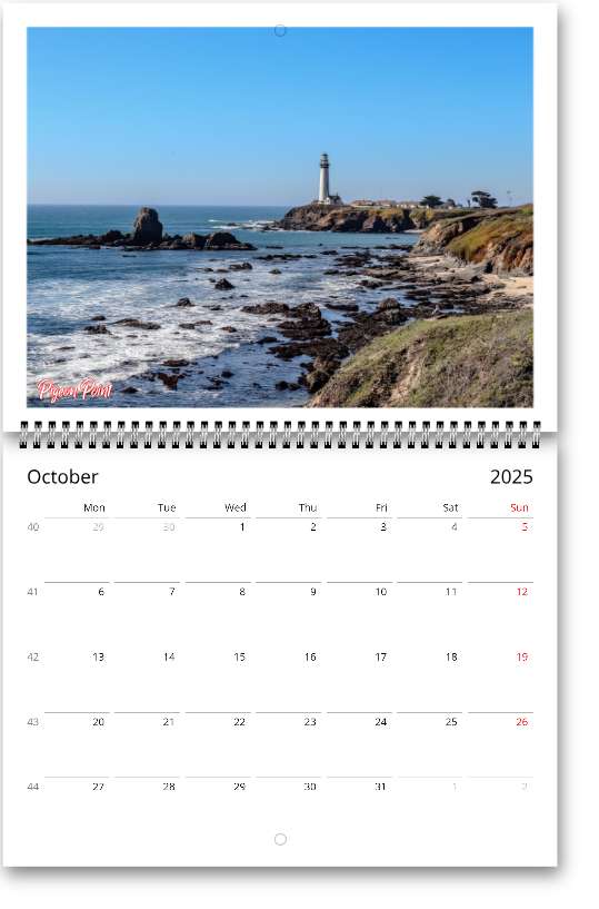 2025 California Calendar (US & CA)