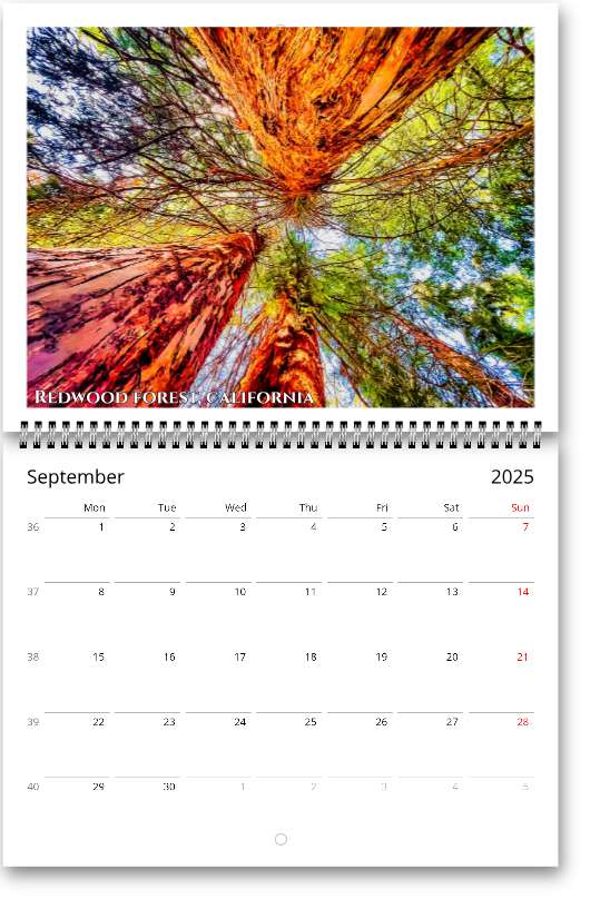 United States Wall calendars (US & CA)